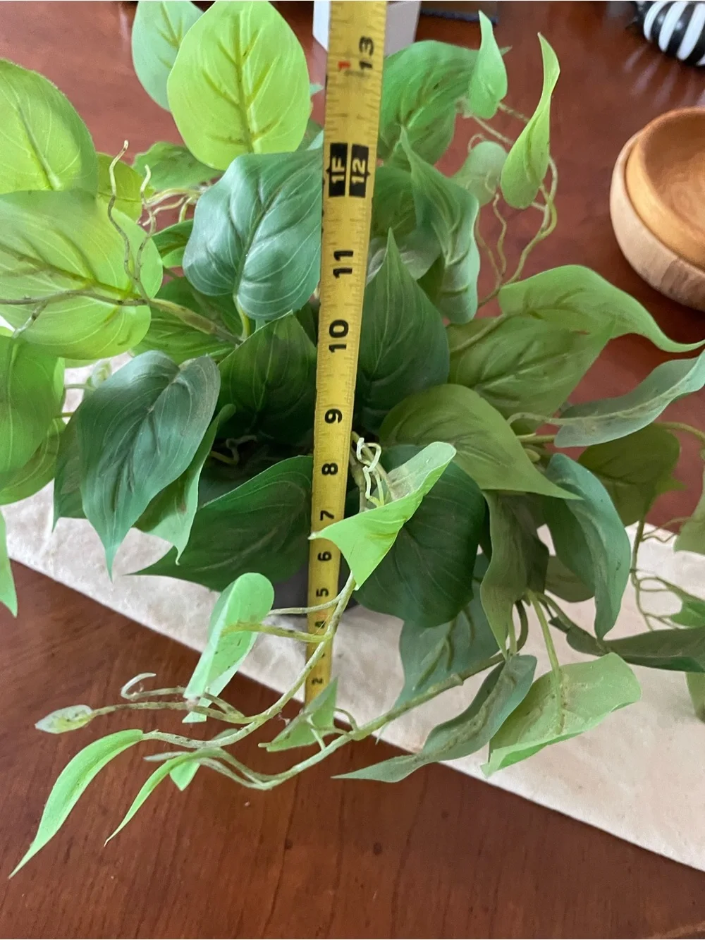 Lifelike Green Faux Plant in Matte Black Planter - Picture 4 of 6